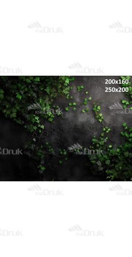 Tło fotograficzne 2832